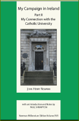 My Campaign in Ireland